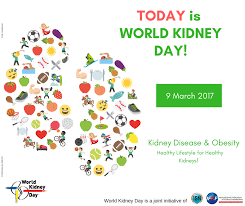 Kidney disease & obesity obesity is defined as abnormal or excessive fat accumulation that may impair health. World Kidney Day On Twitter Today Is Worldkidneyday Take Care Of Your Kidneys And Celebrate Them With Us Https T Co 24hfxe46s7