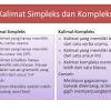 Kalimat juga dibagi menjadi beberapa kategori, ada yang berupa kalimat aktif, kalimat pasif, sampai dengan kalimat imperatif, informatif, dan deklaratif. 1