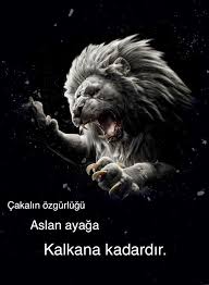 Dunya Fani Adli Kullanicinin Hayatin Gercekleri Panosundaki Pin Guzel Hayat Hayat Aslan