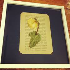 Framed Pressed Flower In Front Of Grandma S Obituary The Rose Was Saved From Her Funeral Pressed Flowers Crafty Funeral Memorial