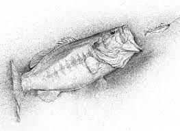 Pin On Fish Art