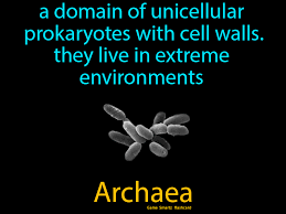 Archaea Science Flashcards Science Facts Science Student