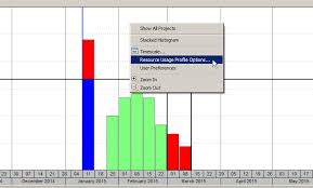 S Curves In Primavera P6 Professional