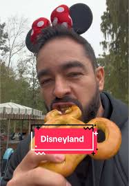 DISNEYLAND #disneyland