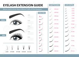 Eyelash Extension Guide