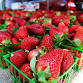Haile Farmers Market