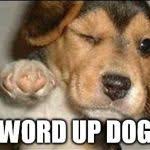 You're doing a really greatjob. Good Job Dog Meme Generator Imgflip
