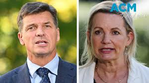 Who is vying to be the next federal Liberal leader