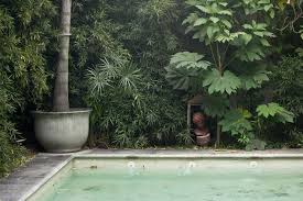 Interiores 123 Mil Capas Casa Chaucha In 2020 Pool Landscaping Backyard Pool Landscaping Outside Pool