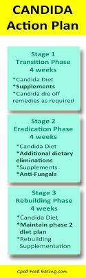 Candida Diet Handbook And Meal Plans Candida Diet Anti Candida Diet Candida Diet Recipes