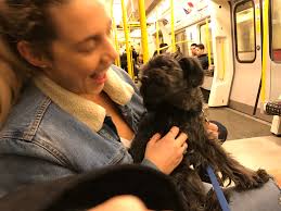 Let's hit the road, George!