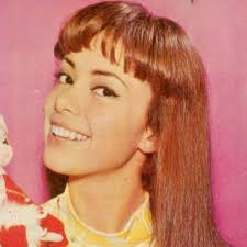 Arc is a content exchange and delivery network. El Dia Del Compadre 1983 Imdb