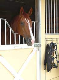5 Tips Winterize Your Barn To Keep Horses Healthy During Cold Weather Equimed Horse Health Matters
