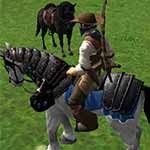 We admire their movements on fields. Horse Riding Simulator Unblocked Crazy School Games