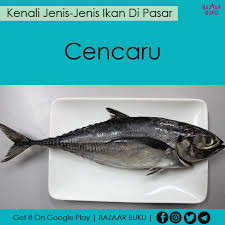 Check spelling or type a new query. Jenis Jenis Ikan Di Pasar The Ramaramapendek