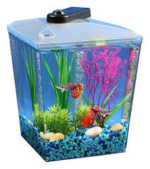 Koller Products 1 Gallon Betta Aquarium Kit Led Light Power Filter And Betta Fish Tank Ap11104ffp Five Gallon Fish Tanks