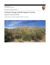 Pdf Climate Change And The Saguaro Cactus