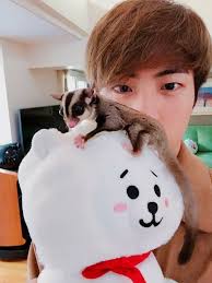 Jin Bts Merch Stickers Tickerstumblr Stickerslaptop Funnystickers Jin Hayvan Korece
