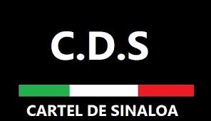 Meet the new drug lords in narcos season three. Sinaloa Cartel Wikipedia