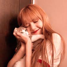 January 24, 2017 channel plus update #1. Blackpink Lalisa Manoban And Lisa Manoban Image 6597043 On Favim Com