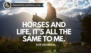 It is a cool way of saying goodbye to a friend too, or a possible replacement for peace. e1 : 45 Cowboy Quotes And Sayings Helpful Horse Hints