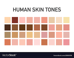 Human Skin Tone Color Palette Set Isolated On