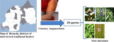 Image result for Kotschya aeschynomenoides