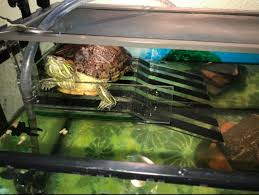 Homemade turtle topper basking platform. Just 15 Things To Make Your Pet Turtle Happy