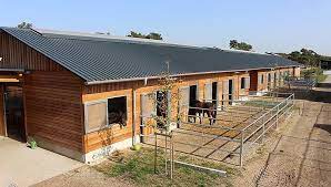 pferdestall bauen mit haas offenstall oder moderne boxen innovative bauweise massgeschneiderte losungen beratun pferdestall pferde stall bauen pferdestalle