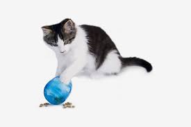 Check spelling or type a new query. 18 Best Food Puzzles For Cats And Dogs The Strategist
