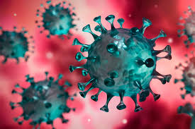 These are the qualities with which cepa centrifuges and systems have made a name for. 7 Puntos Clave Para Saber Que Pasa Con La Nueva Cepa De Coronavirus Tecnologico De Monterrey