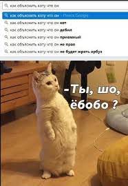 pin na doske memy