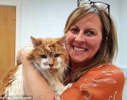 KATTEPROBLEMET I HUNDESTED HAR DYR FØLELSER? NÅR EN BLIVER TIL TO