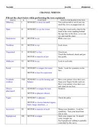 cranial nerve testing chart cranial nerves doc