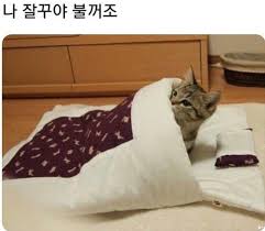 힘 없을때 꼭 봐야하는 귀여운 짤 동물짤 웃긴짤 모음 빠밤 네이버 블로그 귀여운 동물 동물 고양이 종류