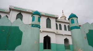  Mostra immagine a dimensione intera  