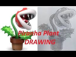 In this video i'll be showing you how to draw piranha plant from super mario. Piranha Plant Drawing Super Smash Bros Ultimate Youtube