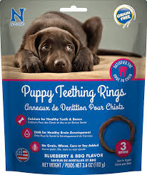 We did not find results for: Amazon Com N Bone Puppy Teething Rings Blueberry Bbq 3 Pack Multicolor Regular Pet Supplies