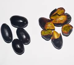 Image result for Canarium schweinfurthii