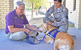 A therapy dog is not the same as a trained service animal and there are many places which would have to allow a service animal. Therapy Dog Training How To Get Your Dog Certified Top Dog Tips Therapy Dog Training Dog Training Obedience Dog Training