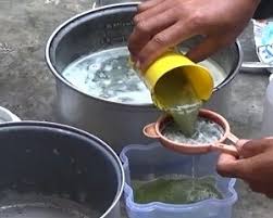 Barulah subur menghijau je semuanya! 10 Cara Mengatasi Hama Tanaman Dengan Pestisida Alami Ilmubudidaya Com