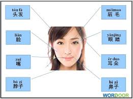 Selain itu, ada juga daftar kata maaf dalam berbagai bahasa negara terkenal di dunia. 8 Trik Jitu Belajar Bahasa Mandarin Secara Cepat
