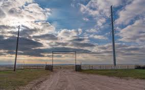 Image result for Larkspur 1986 Colne Valley Water Company