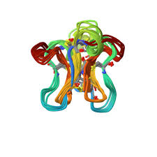 Image result for Chassalia parvifolia