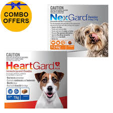 Let me tell you all the different ways you can show your cat how much you love them with 55 tips on how to. Buy Nexgard Heartgard Combo Pack For Small Dogsnexgard Orange 0 4kg Heartgard Plus Blue 0 11kg Online