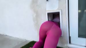 Adriana Chechik Stuck On Dog Door Onlyfans Fuck - EPORNER