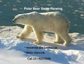 Polar Bear Snow Plowing