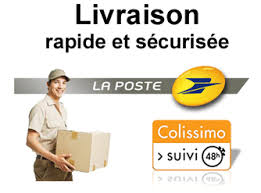 Résultat de recherche d'images pour "logo livraison rapide et francaise"