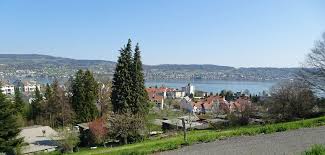 Rechnen sie grob mit 400 bis 1000 chf. Baum Fallen Kosten In Wadenswil Bauen Und Wohnen In Der Schweiz