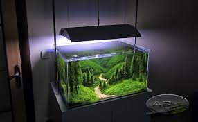 Yvonne hiemstra oer de dichter c.o. Landscape Aquarium Album On Imgur